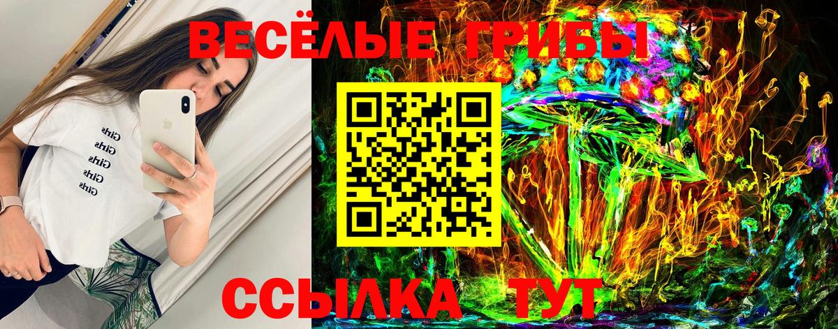 Галлюциногенные грибы Psilocybine cubensis  Вход с VPN  Спасск-Дальний 